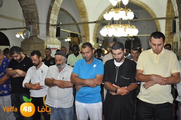 trawe7 7san bek 715 (4).JPG